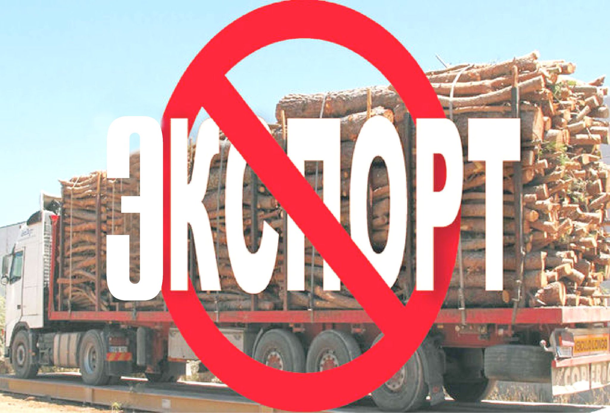 Запрет на вывоз леса из России